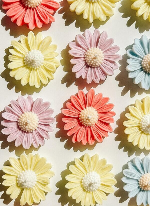Daisies
