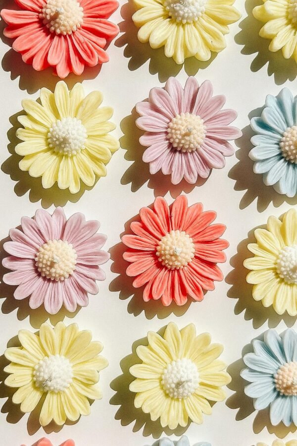 Daisies