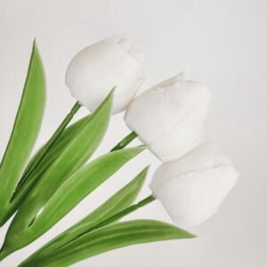 Tulip Candles