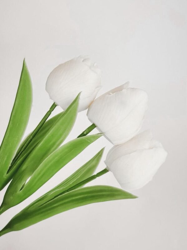 Tulip Candles