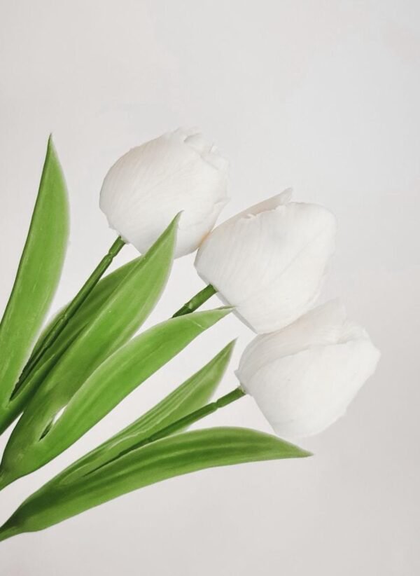 Tulip Candles